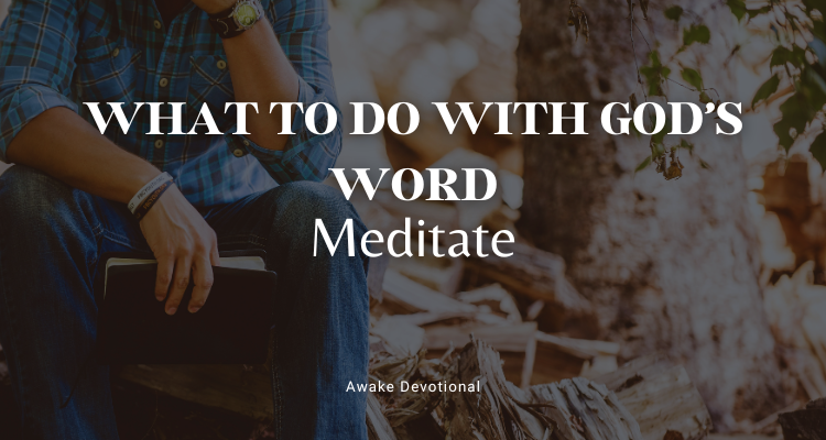WHAT TO DO WITH GOD'S WORD: Meditate