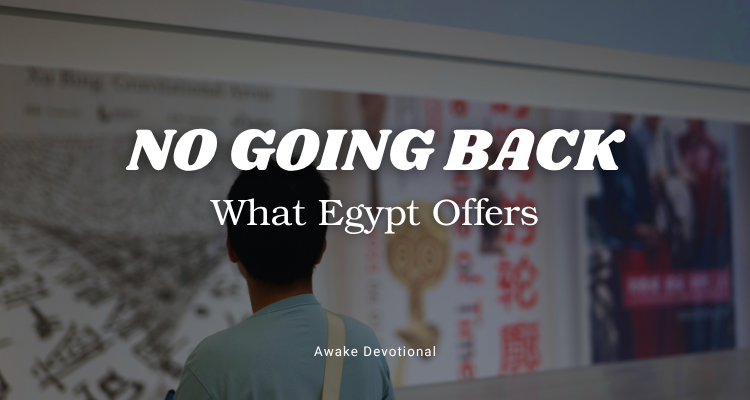 NO GOING BACK: What Egypt Offers