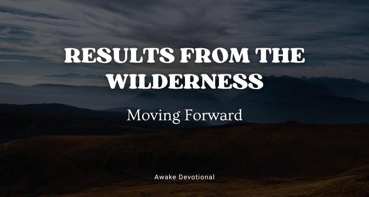 RESULTS FROM THE WILDERNESS: Moving Forward